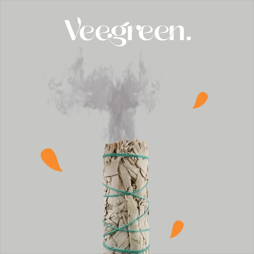 Comment-utiliser-la-sauge-blanche-et-le-Palo-Santo-pour-purifier-un-espace Veegreen