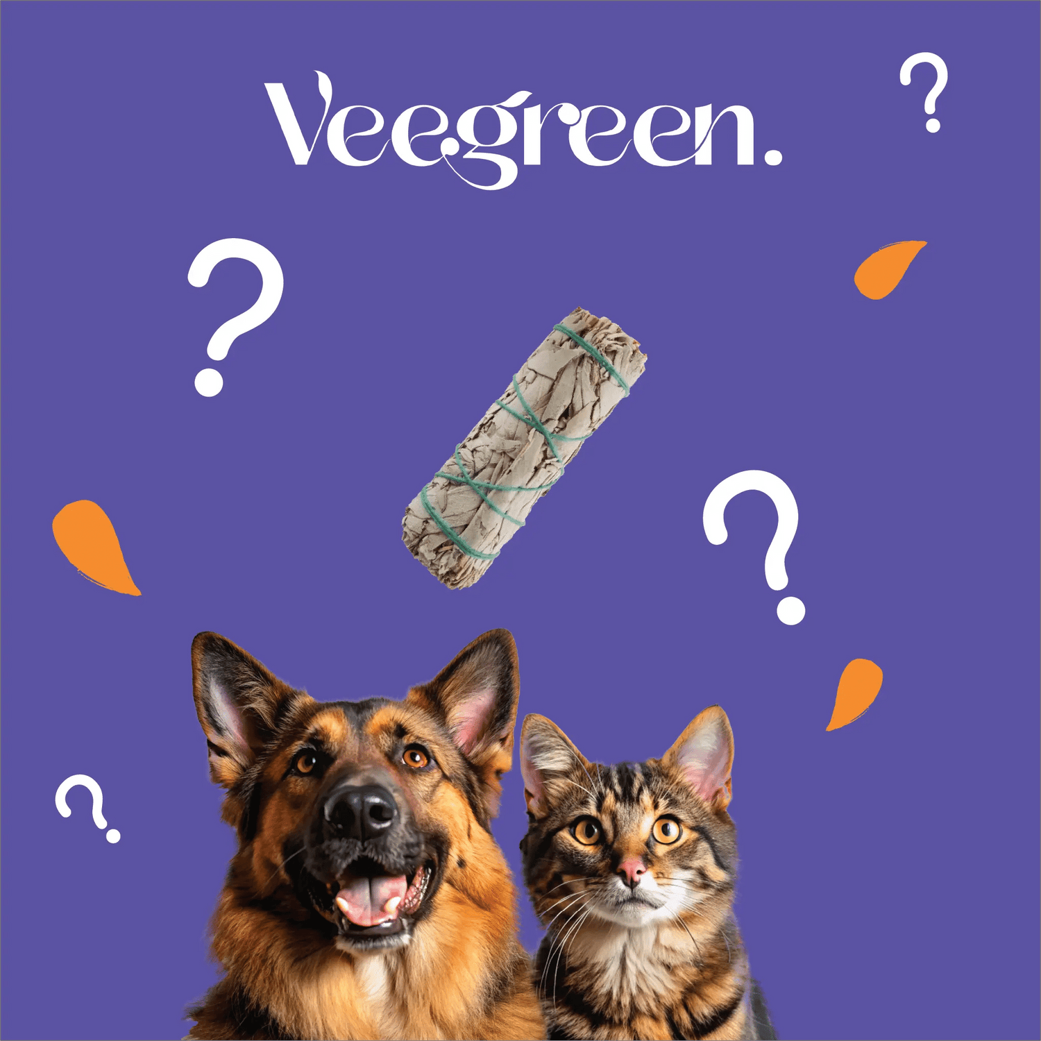 Effets-de-la-Sauge-et-du-Palo-sur-les-animaux Veegreen