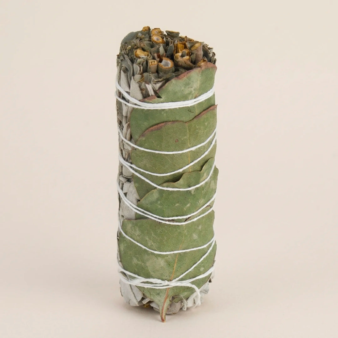 Eucalipto sfuso della salvia bianca