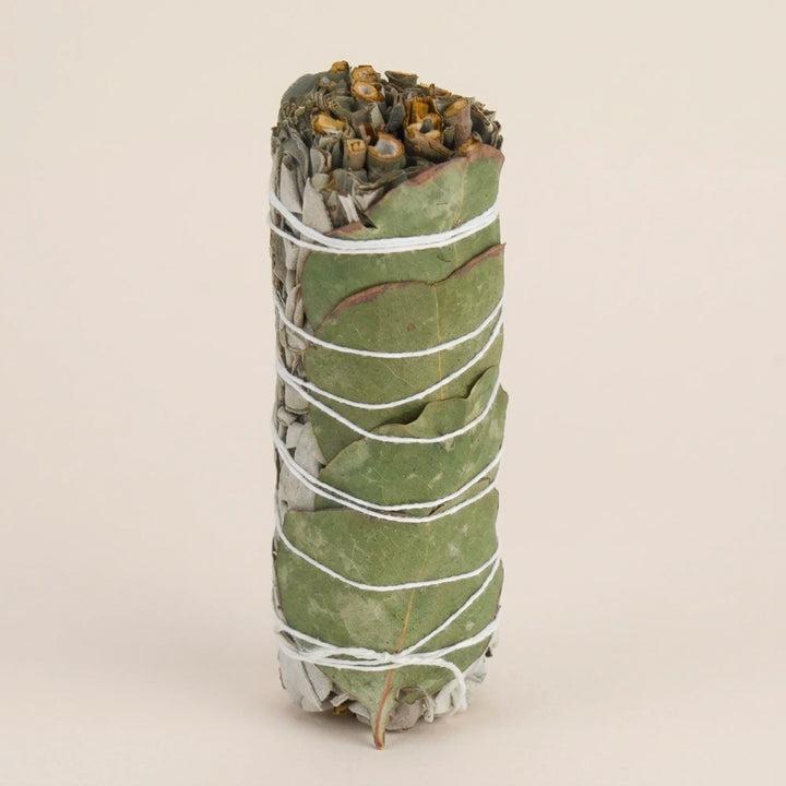 Eucalipto sfuso della salvia bianca