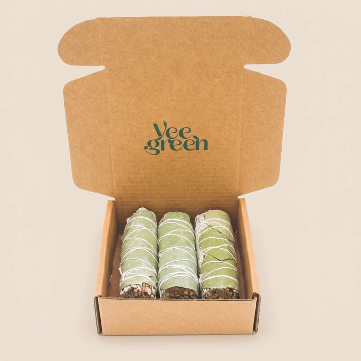 Eucalipto sfuso della salvia bianca