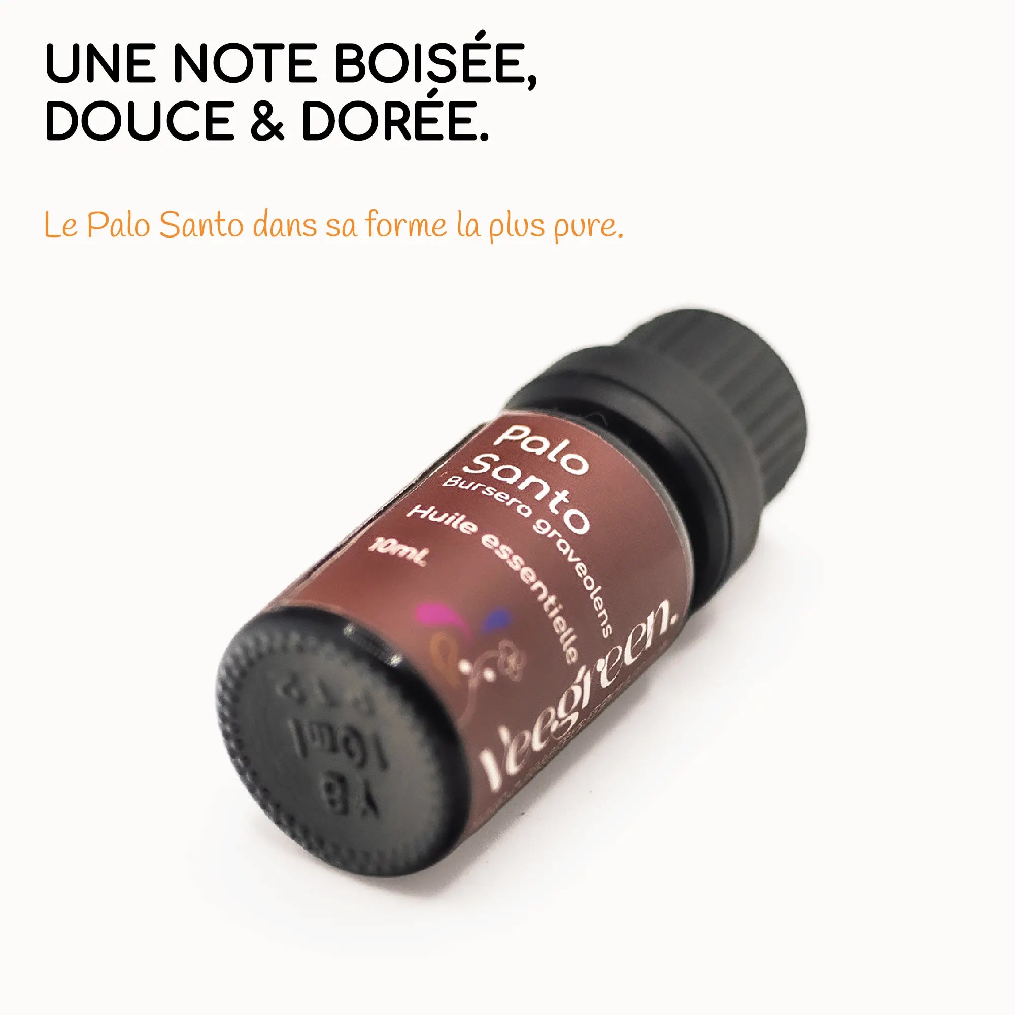 Huile essentielle Palo Santo
