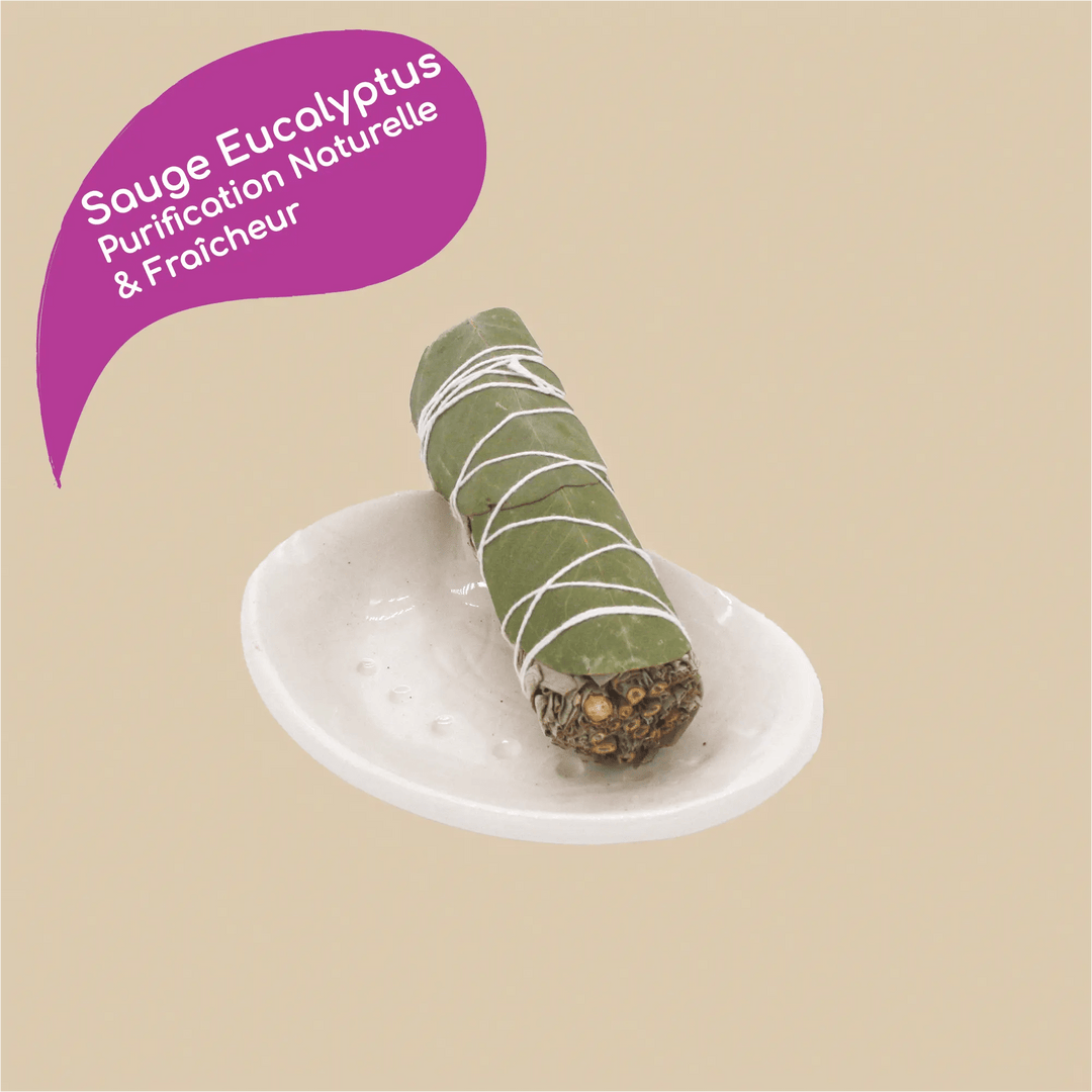 Bâton Sauge Blanche avec Eucalyptus à Brûler