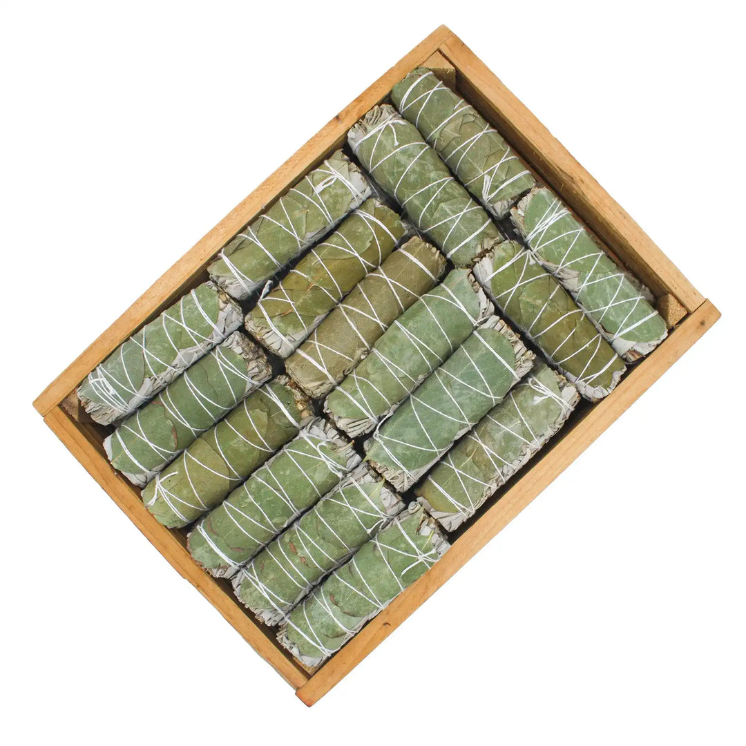 Bâtons naturels Sauge Blanche eucalyptus bien-être