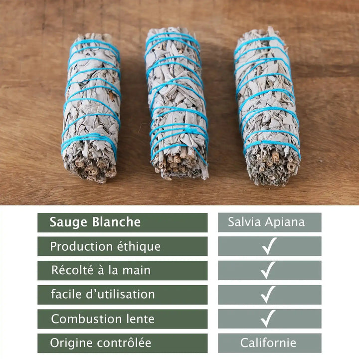 Sauge Blanche Récolté à la Main