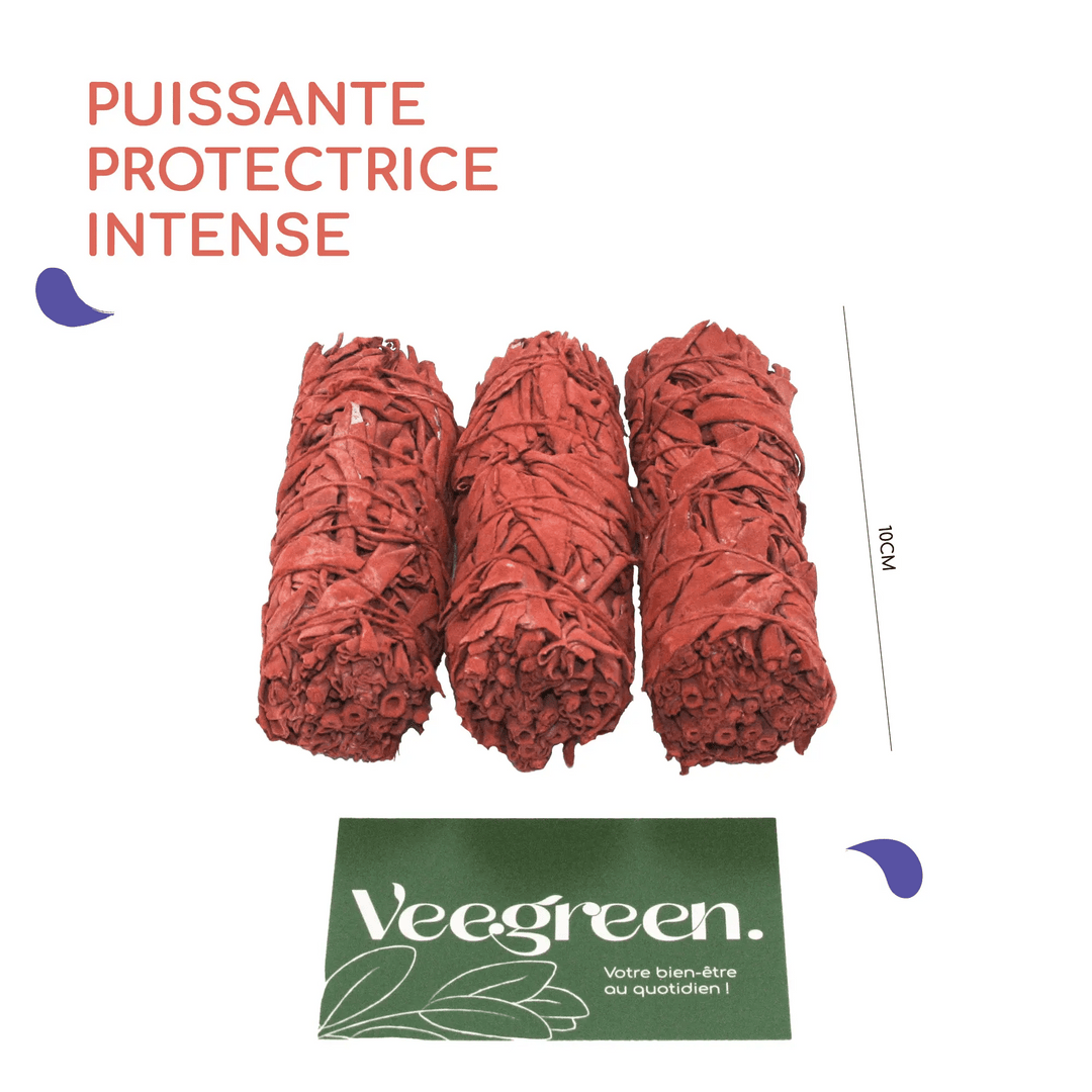 Encens Sauge Blanche et Résine de Sang de Dragon  